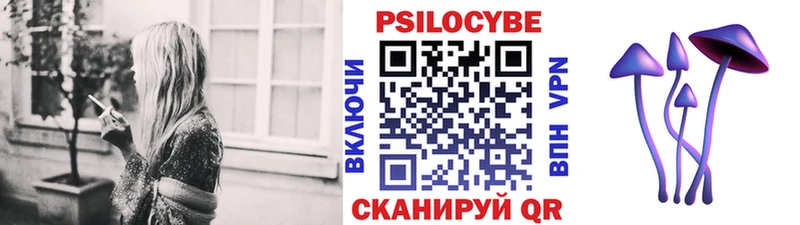 Галлюциногенные грибы Psilocybine cubensis  ОМГ ОМГ ССЫЛКА  Навашино 